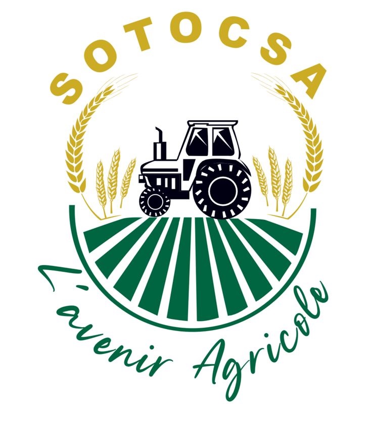logo SOTOCSA
